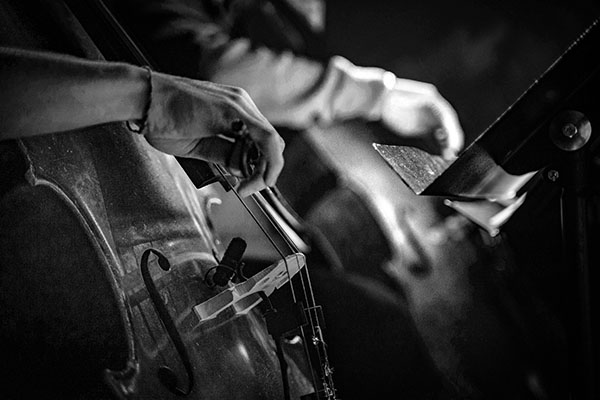 rob-simmons-lWHP55X-biA-unsplash_BW